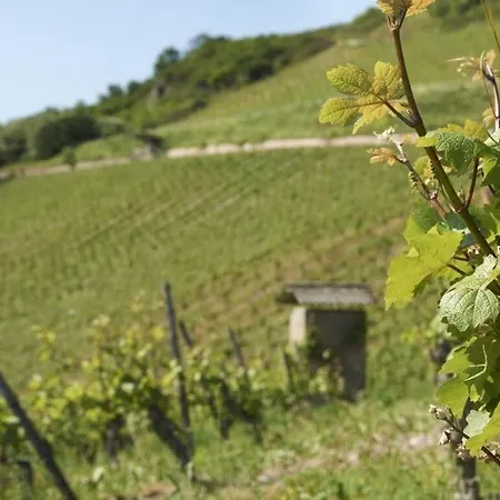 Riesling 公寓 Niederheimbach