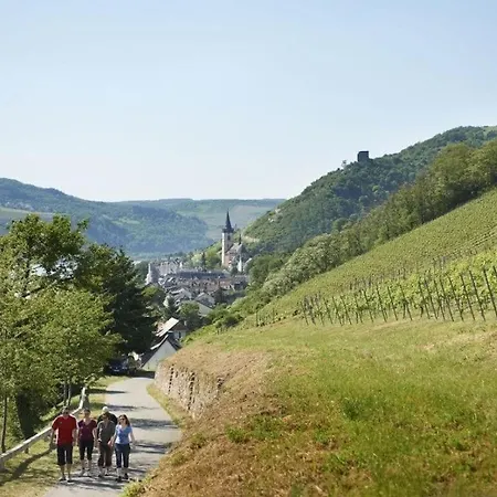 Riesling 公寓 Niederheimbach