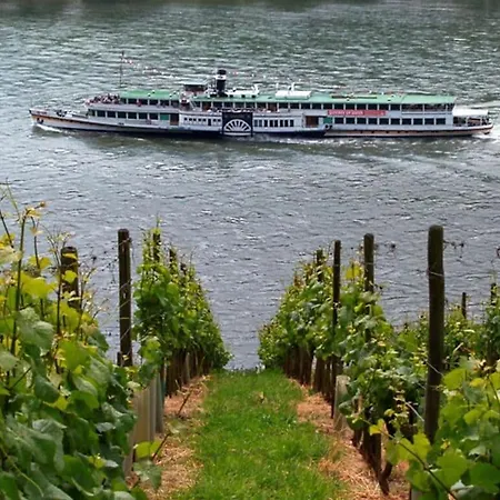 Riesling *